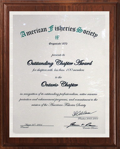 2004 AFS Outstanding Chapter Award