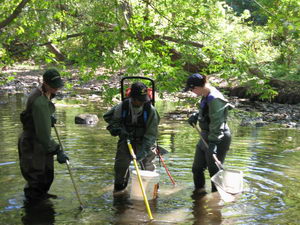 Electrofishing Course