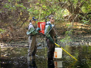 Electrofishing Course